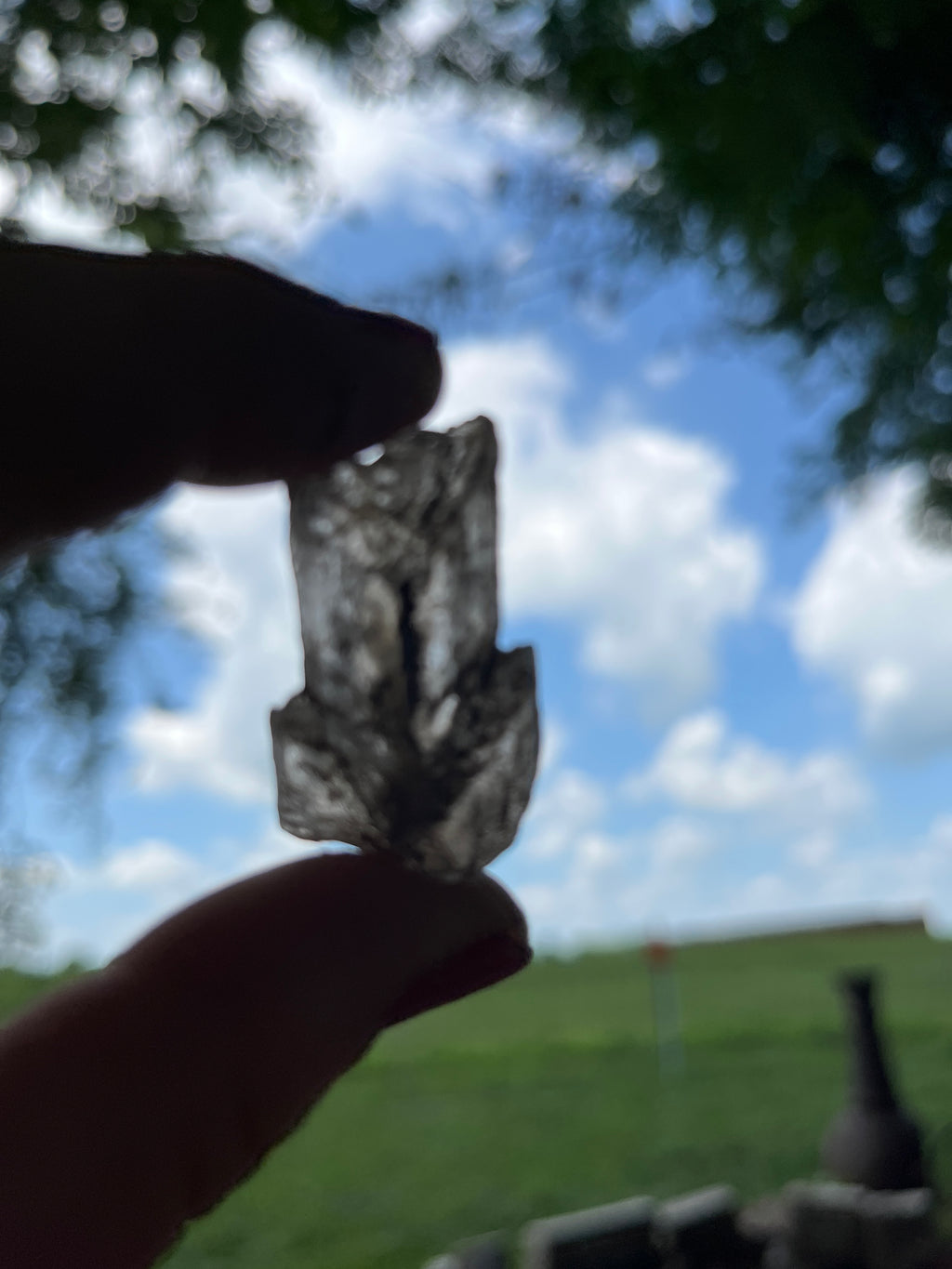 Selenite crystals