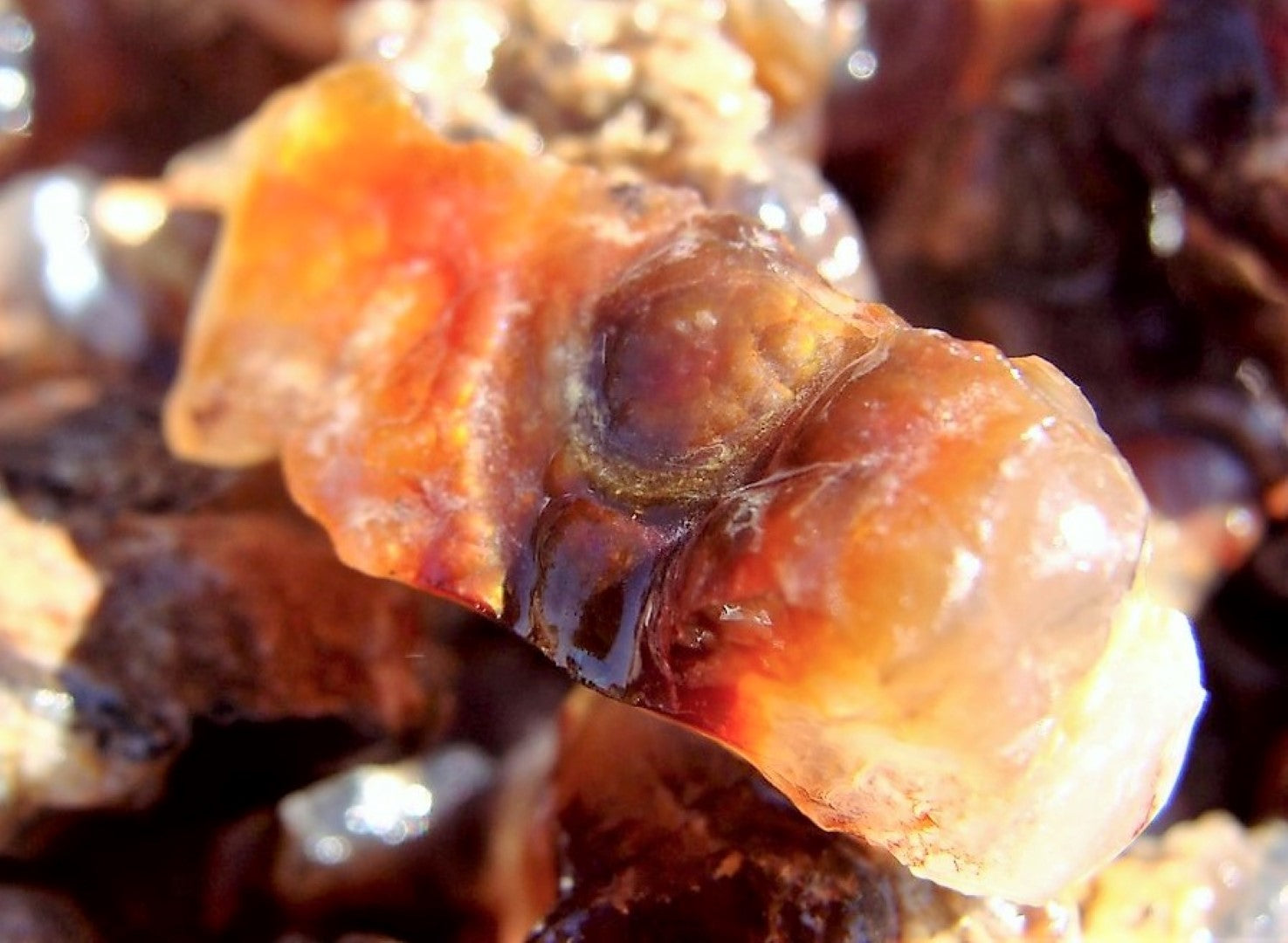 Fire Agate Rough Cut Arizona Natural 500 Carats Bulk Lot